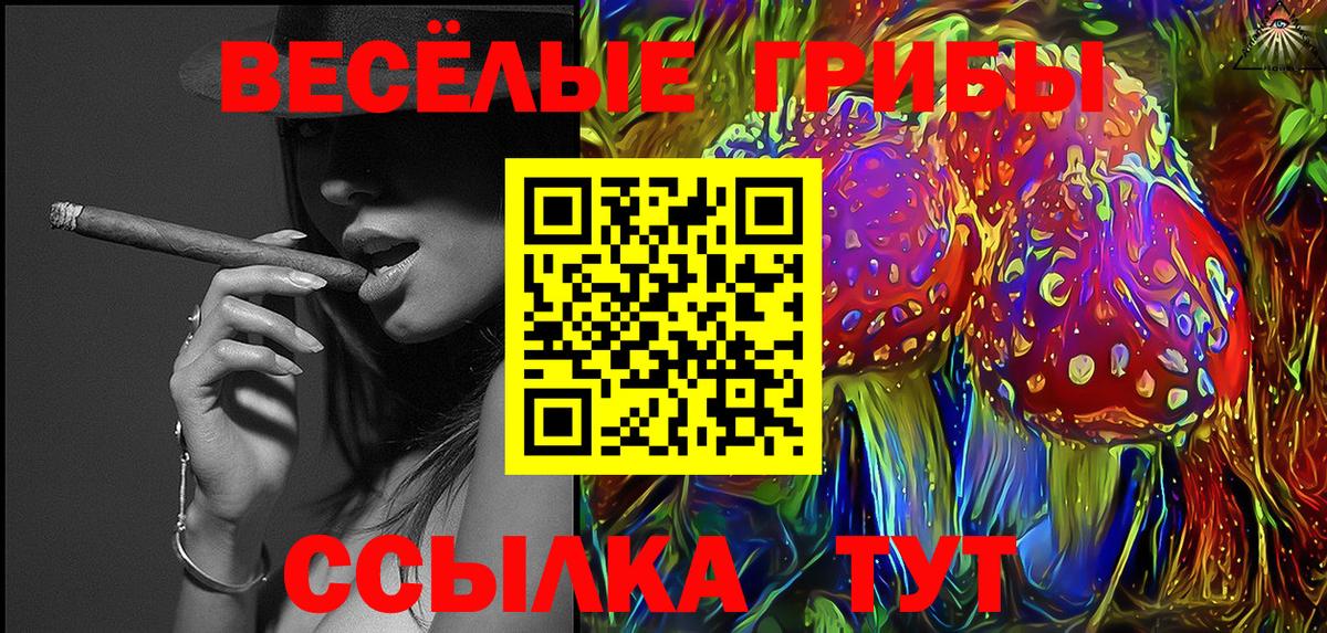 Шелехов  Галлюциногенные грибы прущие грибы  Вход с VPN  Псилоцибиновые грибы Psilocybine cubensis 